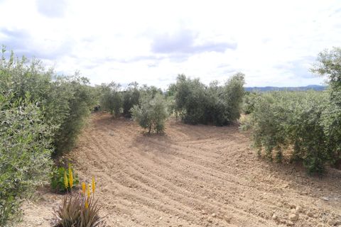 Landejendom i Velez-Blanco, Almeria, Velez-Blanco - € 115.000 | Ref: 3018-CH - foto 15